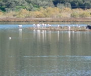 Kalloni - The village & coast