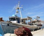 Boats, Ships & Yachts