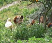Galatas - The surrounding areas